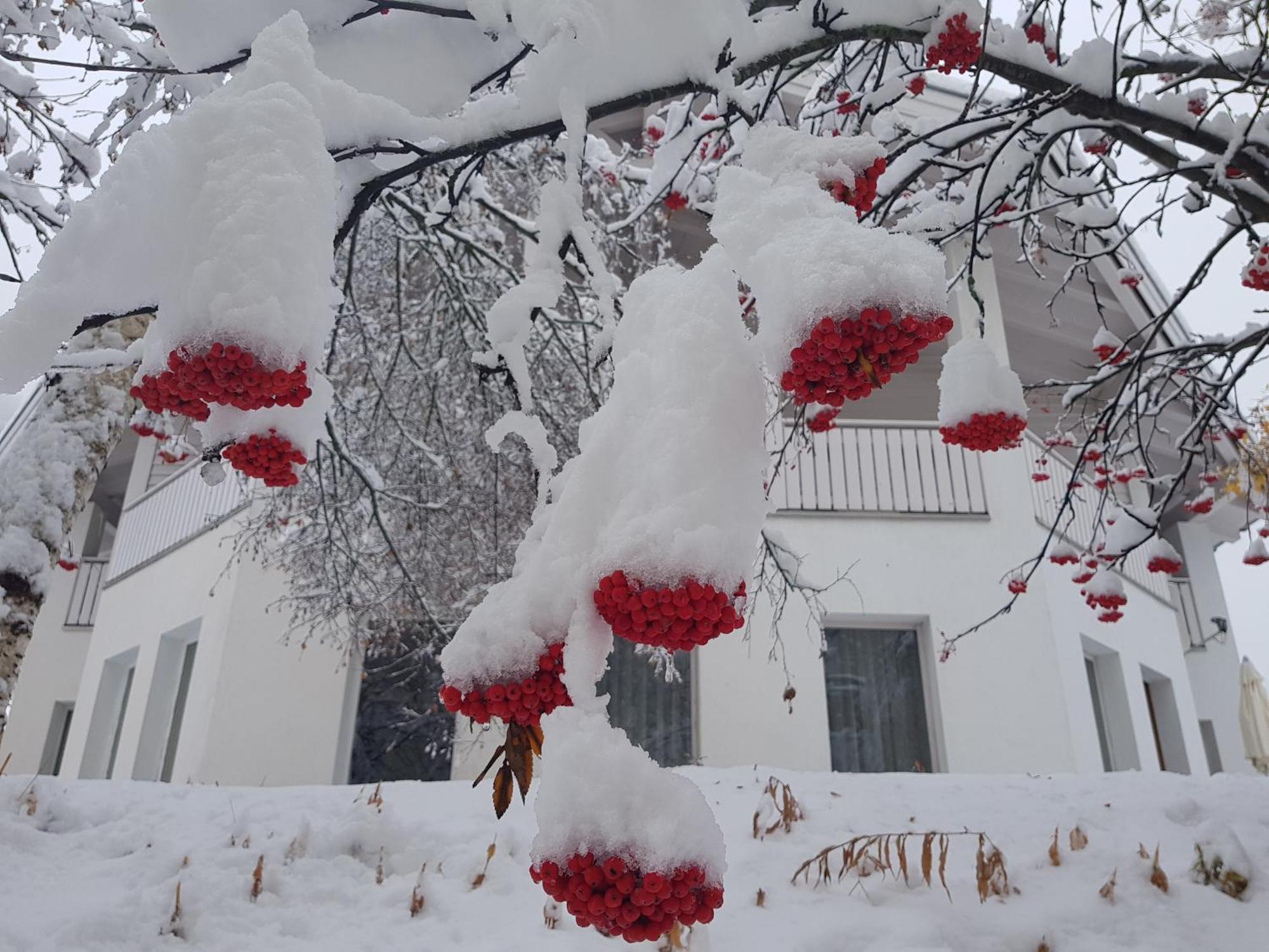 Apart Foresta Samnaun Exterior foto