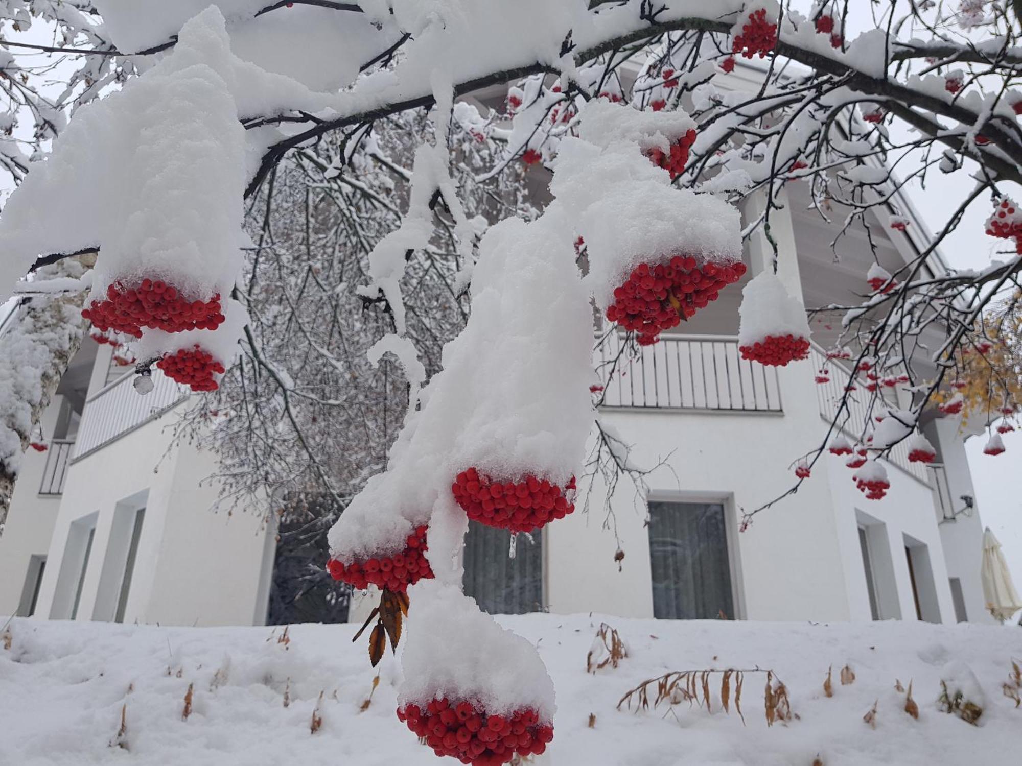 Apart Foresta Samnaun Exterior foto